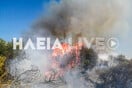 Φωτιά τώρα στην Ηλεία