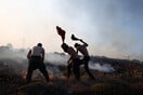 «Η μόνη καλλιέργεια που σώθηκε είναι της καταναλωτικής πλάνης»