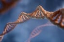 Αρχαίο DNA αποκαλύπτει το βακτήριο που προκάλεσε την πρώτη πανδημία στην ιστορία