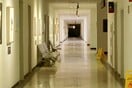 Μύκητας Candidozyma auris: Υπάρχει έξαρση με «αύξηση 60% σε Ευρώπη και Ελλάδα» - Τι πρέπει να κάνουμε
