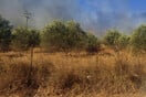 Αργολίδα: Σε ύφεση η φωτιά που ξέσπασε στην περιοχή Κουνούπι