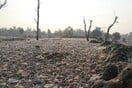 Συναγερμός για την κλιματική κρίση: 80% των οικοτόπων της Ευρώπης καταρρέουν – Τι σημαίνει για το μέλλον