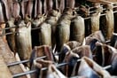 Ευρωπαϊκά χέλια: Οικολογική κρίση και λαθρεμπόριο