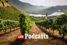 Pfalz: Η νέα δύναμη του Riesling και του Pinot Noir, που «ταράζει» την Ευρώπη