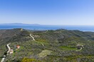 2.000 δέντρα για τη Γη: ΒΙΚΟΣ και we4all δίνουν ξανά ζωή σε Χίο και Βόρεια Εύβοια