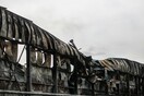 ΒΙΟΛΑΝΤΑ ΕΚΡΗΞΗ ΓΕΝΙΚΟΣ ΔΙΕΥΘΥΝΤΗΣ