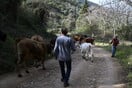 ΕΕ ΕΥΡΩΠΑΪΚΗ ΕΝΩΣΗ ΒΡΕΤΑΝΙΑ ΣΥΜΦΩΝΙΑ ΖΩΑ ΚΙΡ ΣΤΑΡΜΕΡ