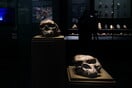 HOMO ERECTUS ΝΤΕΝΙΣΟΒΑΝ ΑΝΑΠΑΡΑΓΩΓΗ ΠΡΟΪΣΤΟΡΙΑ