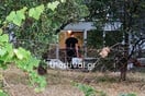 ΔΟΛΟΦΟΝΙΑ ΘΕΣΣΑΛΟΝΙΚΗ 