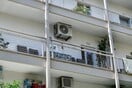 ΚΑΛΑΜΑΤΑ ΓΥΝΑΙΚΟΚΤΟΝΙΑ