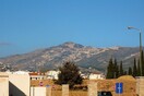 Ο Γέρακας, από τη Μαρία Μαραγκουδάκη