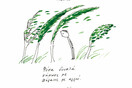 Αέρας