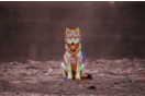 Starfax