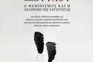 Αναταραχή Φύλου