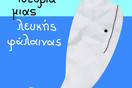 Ιστορία μιας λευκής φάλαινας