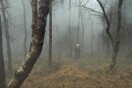 Η κοιλάδα των σκιών 