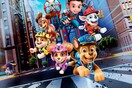 paw patrol