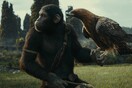 Kingdom of the Planet of the Apes