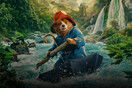 Paddington in Peru