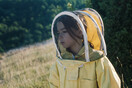 Species of Bees