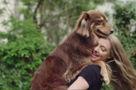 Ο καλύτερος φίλος της Amanda Seyfried είναι ο σκύλος της