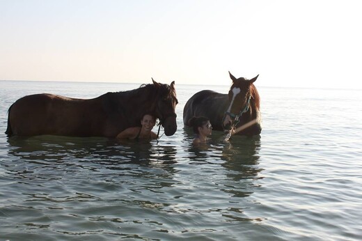 Kολυμπώντας με άλογα στην Αγιά