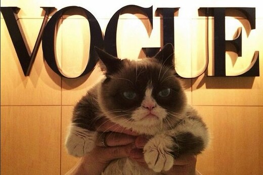 Η Grumpy Cat στη Vogue