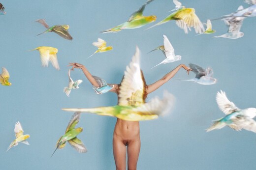 Άνθρωποι και ζώα - Τα ανορθόδοξα ταίρια του Ryan McGinley (NSFW)
