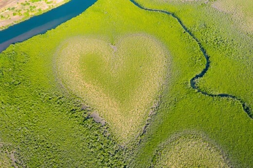 «The Heart of Voh»: 