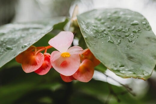 ΚΑΙΡΟΣ ΒΡΟΧΕΣ ΑΘΗΝΑ 