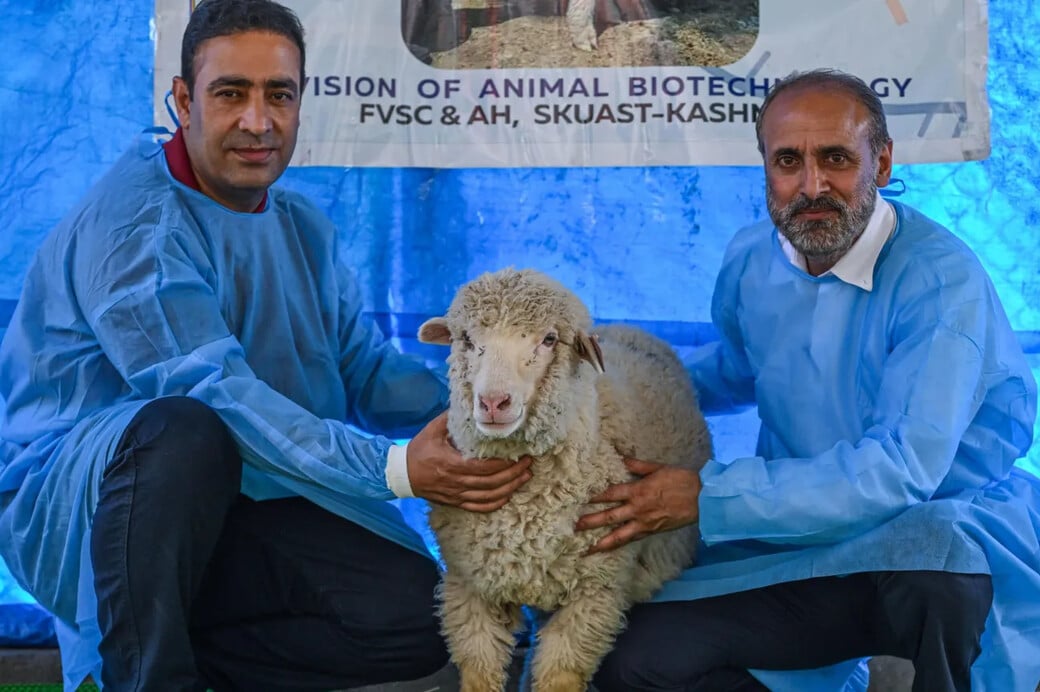 ΠΡΟΒΑΤΟ ΙΝΔΙΑ ΓΕΝΕΤΙΚΗ ΕΠΕΞΕΡΓΑΣΙΑ