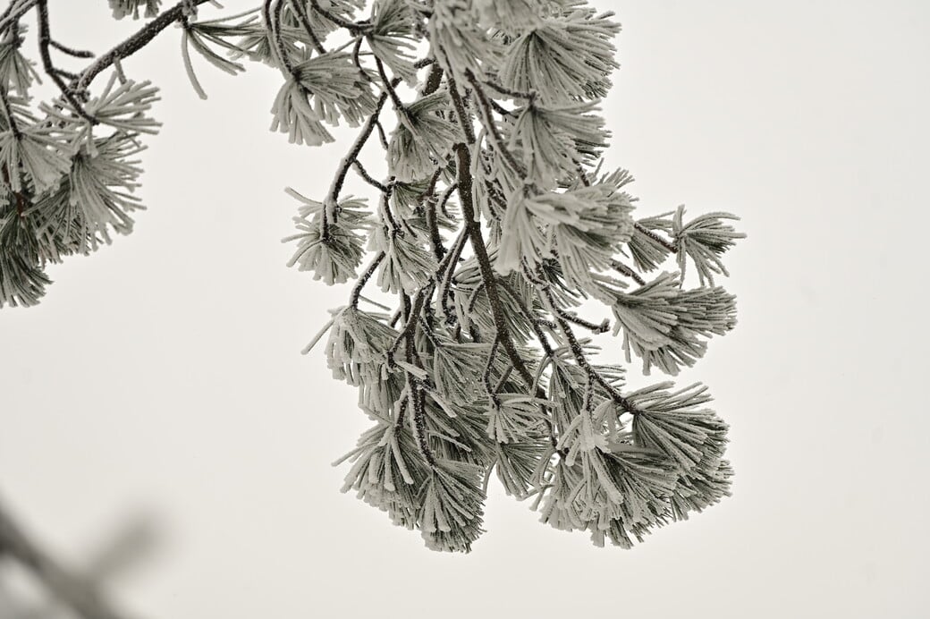 ΚΑΙΡΟΣ ΧΙΟΝΙΑ ΑΤΤΙΚΗ ΨΥΧΡΗ ΕΙΣΒΟΛΗ