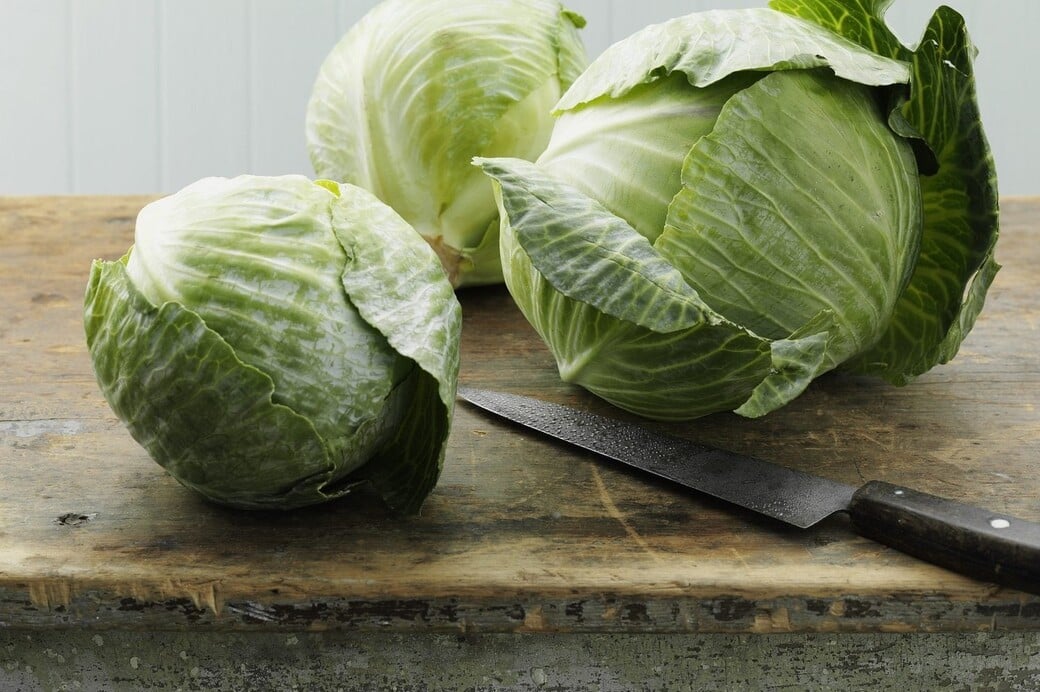 Γιατί τρεντάρει το λάχανο φέτος;