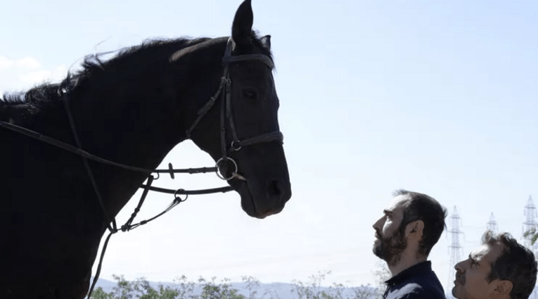 Εδώ έχουν προτεραιότητα οι έφιπποι