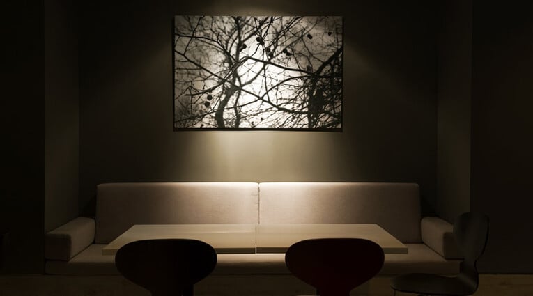 Photonet Gallery