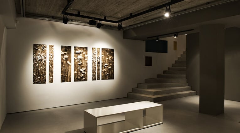 Photonet Gallery