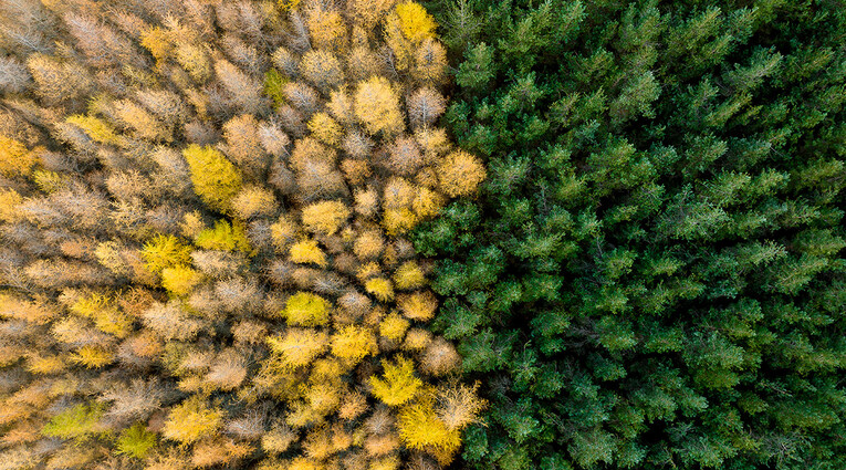 The Beauty of Earth – Solo Single Subject