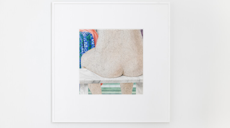 Anna Lea Hucht: Trembling Curtain