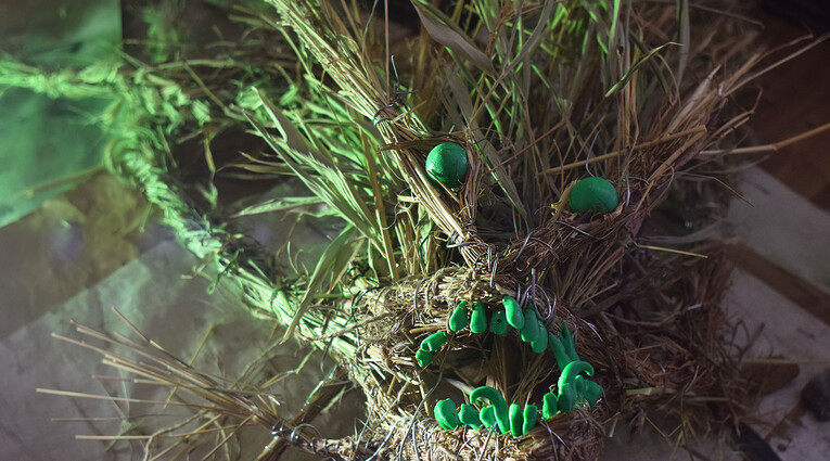 Αναστάσης Παναγής Μελέτης: TALES OF THE GREEN HEART 
