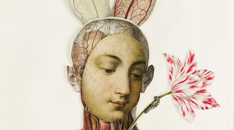 Flower Power 3