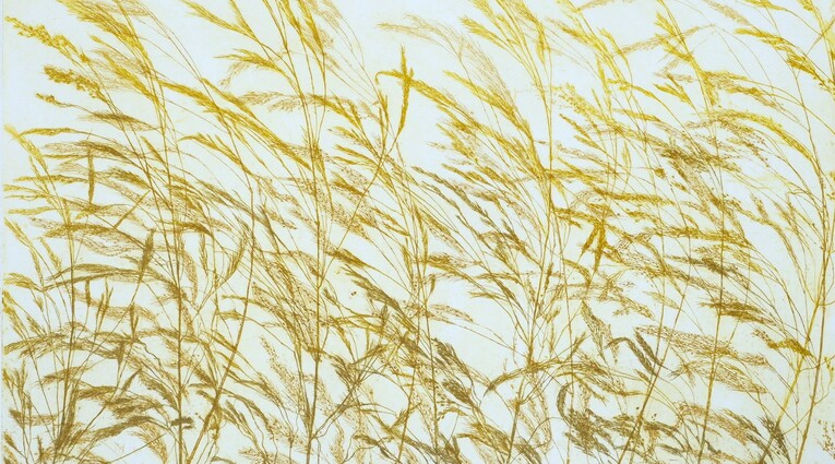 Pino Pandolfini: Flora effimera 