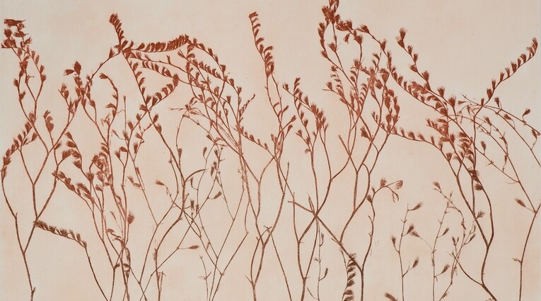 Pino Pandolfini: Flora effimera 