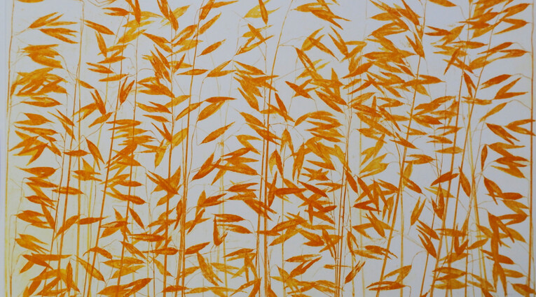 Pino Pandolfini: Flora effimera 