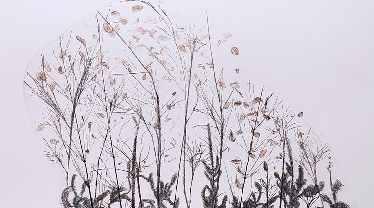 Pino Pandolfini: Flora effimera 