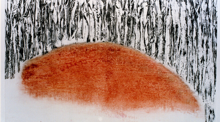 Pino Pandolfini: Flora effimera 
