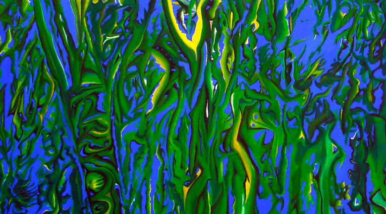 Pino Pandolfini: Flora effimera 