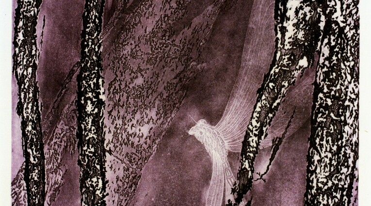 Pino Pandolfini: Flora effimera 