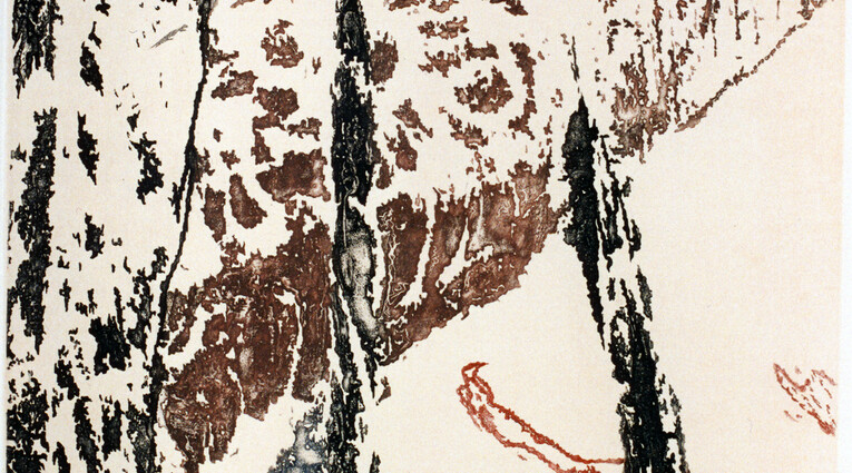 Pino Pandolfini: Flora effimera 
