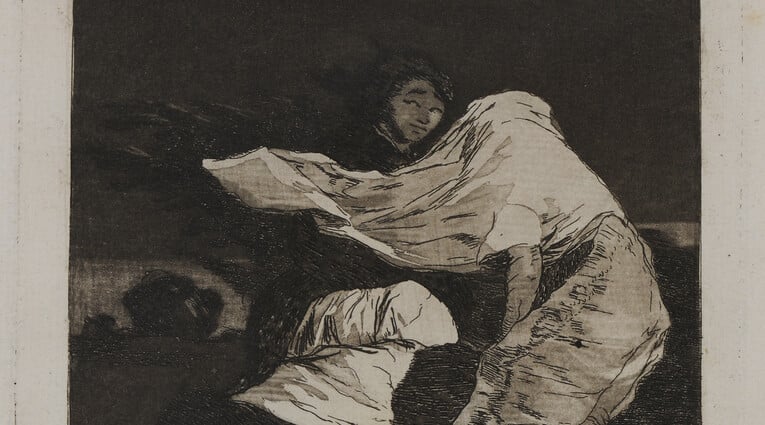 Francisco Goya, Los Caprichos