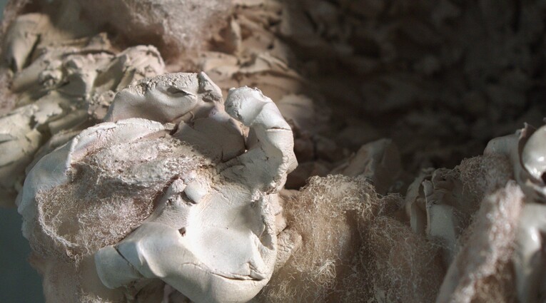 Δανάη Τσολάκη: Fragments of a Dollhouse